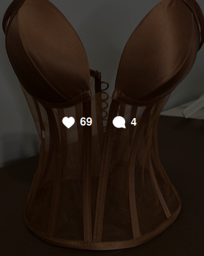 Sheer Structured Black Bodice - Image 3